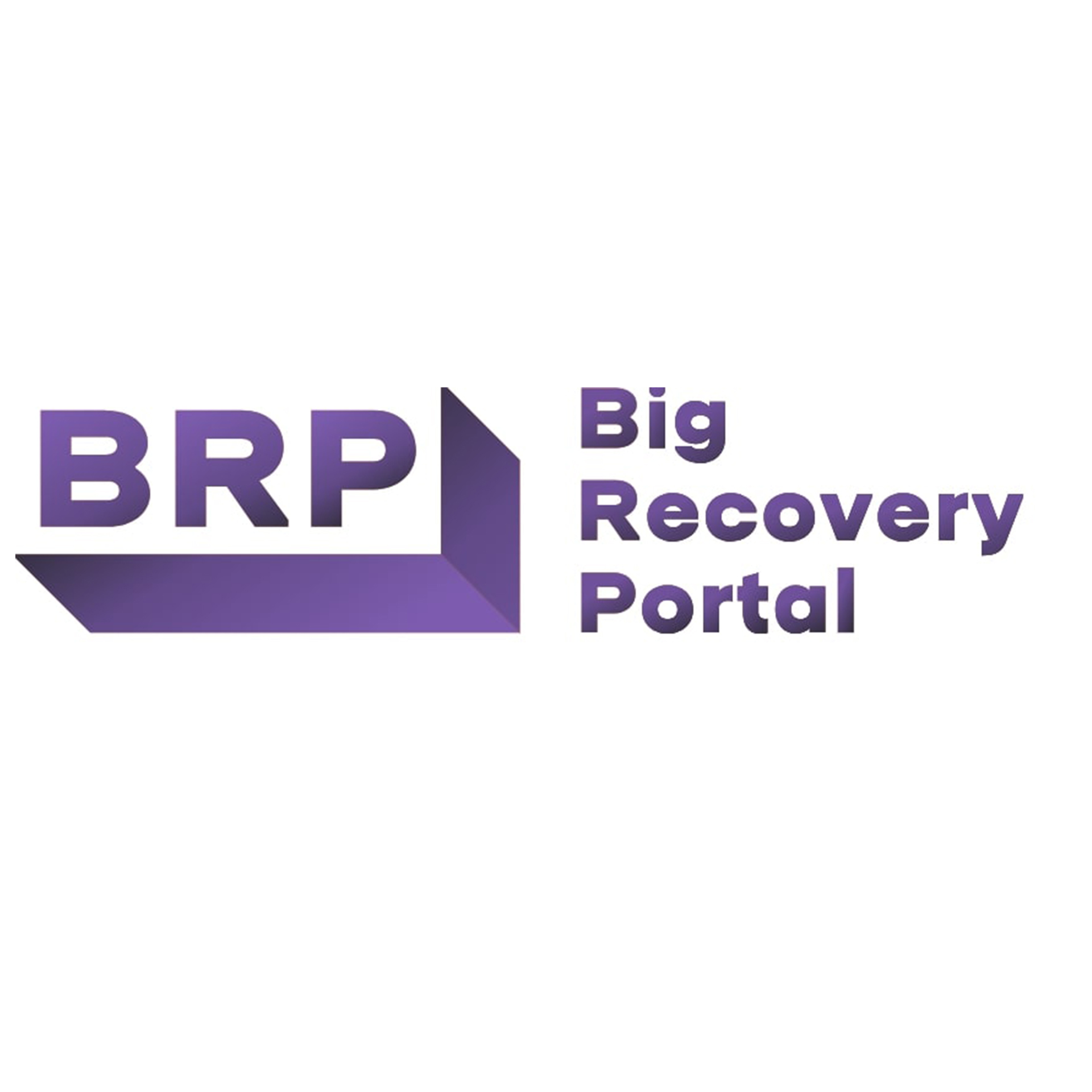 Big Recovery Portal